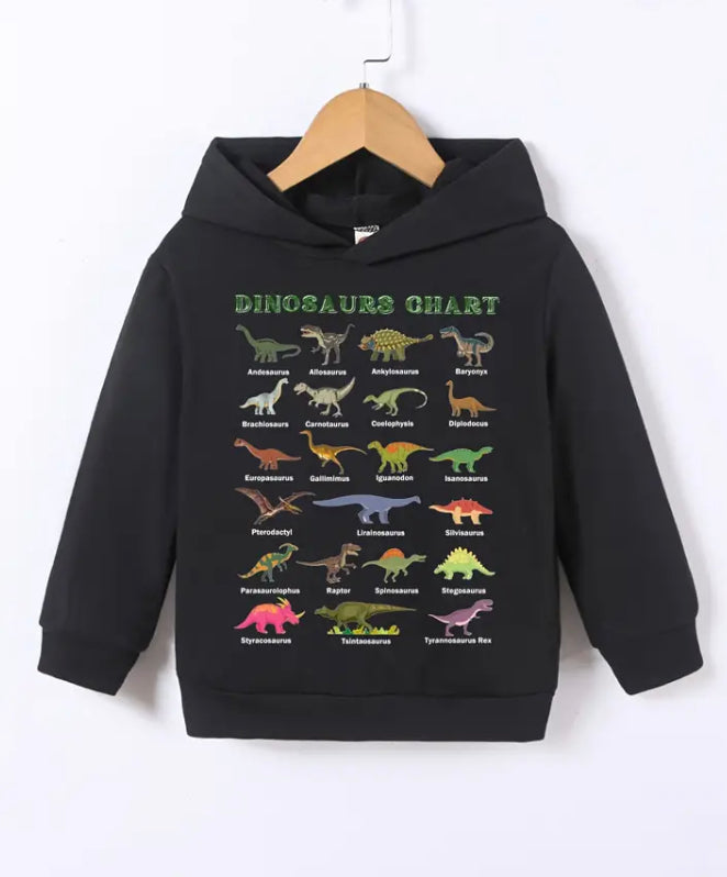 Dinosaur alphabet hoodie